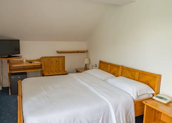 فندق سبورتهوتيل أوروبا سول لاغو أليغ